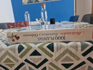 MIL PLANTAS MEDICINALES