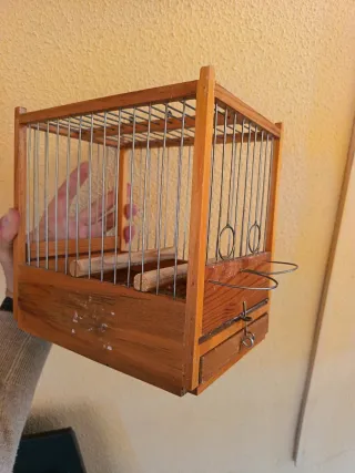 Gabbia per uccelli timbrati