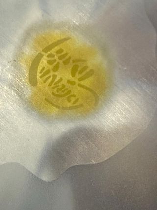 Daum France fermacarte fiore blu