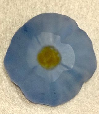 Daum France fermacarte fiore blu