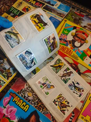 Lote Álbumes Cromos Antiguos varios