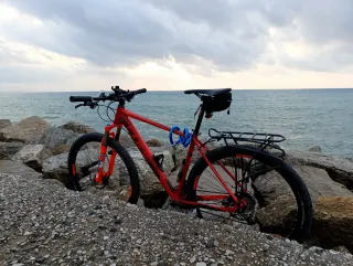 Bicicleta Cube LTD 29