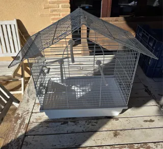 Gabbia bianca per uccelli