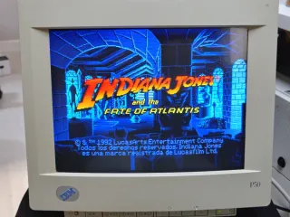 Monitor IBM P50 tubo Trinitron 15"