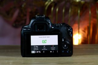 Canon 250D + EF-s 18-55 IS STM + Borsa