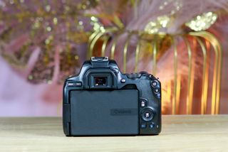 Canon 250D + EF-s 18-55 IS STM + Borsa