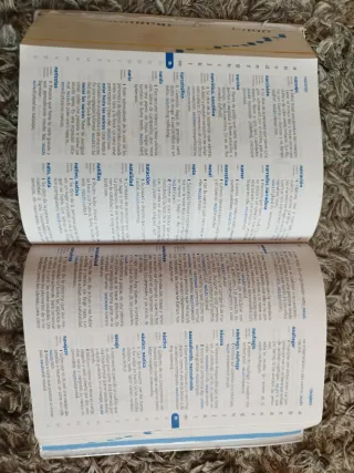 Diccionario de Primaria