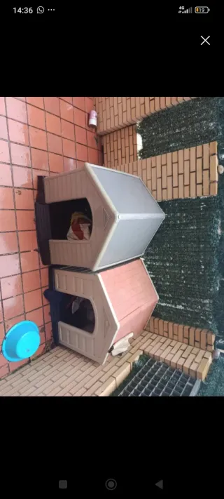 2 Casetas para perro (beige y gris)