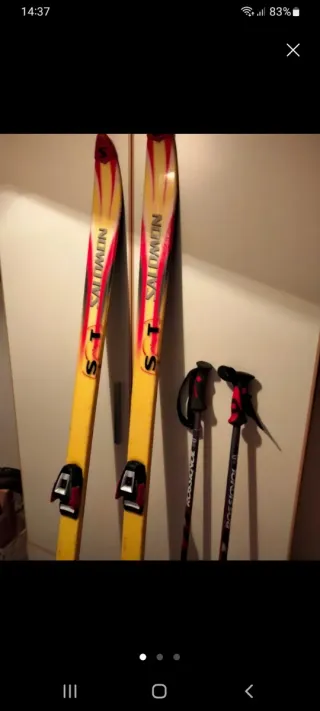 Esquís y bastones con funda