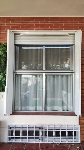 Reja de seguridad extensible