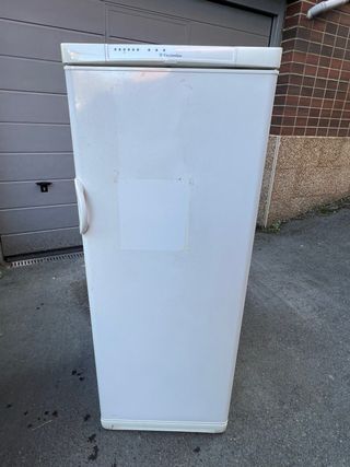 Congelatore Electrolux