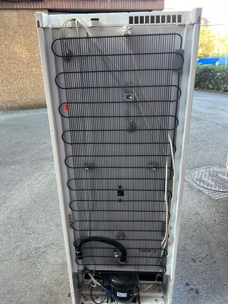 Congelatore Electrolux