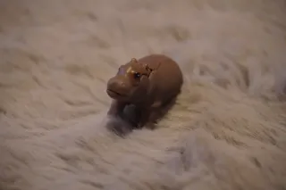 Figuras Kinder Sorpresa Animales NATOONS