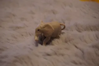 Figuras Kinder Sorpresa Animales NATOONS