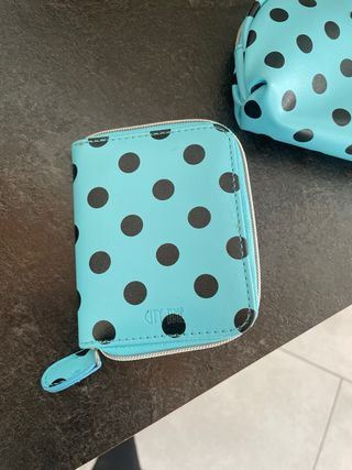 Pochette con pois blu e zip