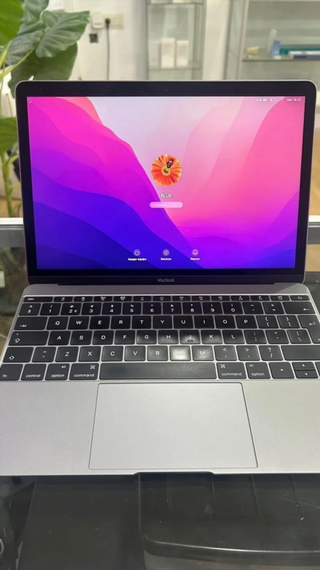 MacBook 12 Gris 8GB 256GB