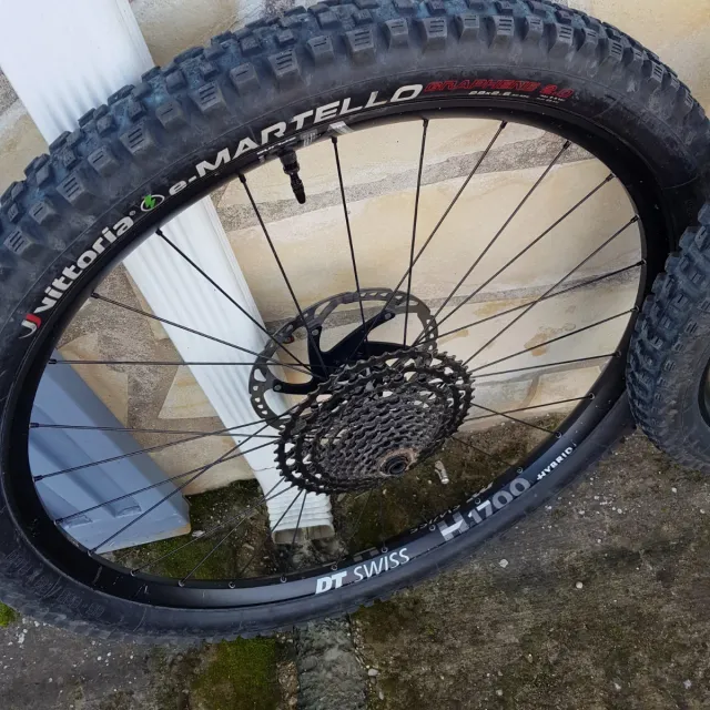 Ruedas Enduro 29" DT Swiss HX1700 Hybrid Vittoria