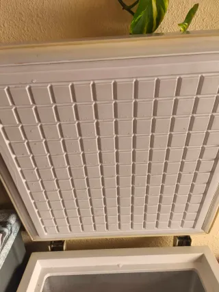 Congelatore Haier BD-100G