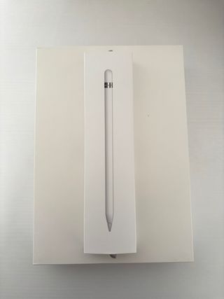 iPad 9ª Gen 64 gb + Apple Pencil - Argento