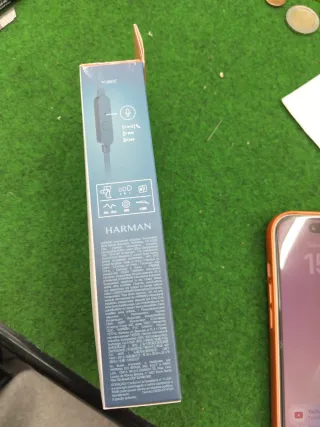 JBL Tune 110 Cuffie In-Ear Blu