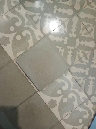 Baldosa hidráulica suelo hidráulico