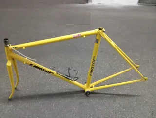 Telaio Moser acciaio