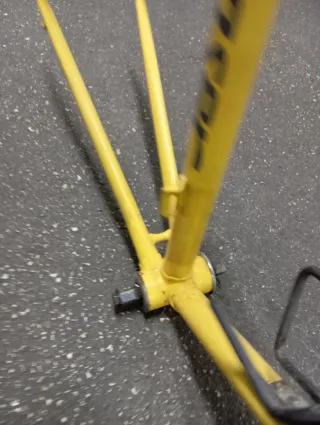 Telaio Moser acciaio