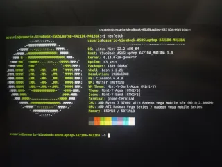 Portátil Asus Vivobook 14