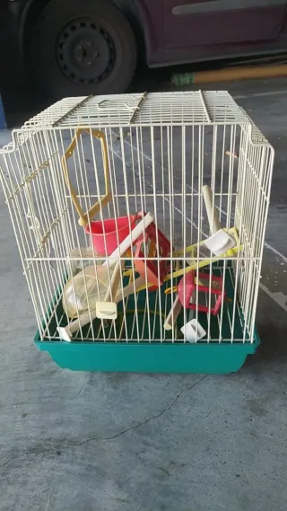 Gabbia per uccelli con accessori