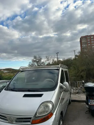 Techo de furgoneta plateada (vaca)