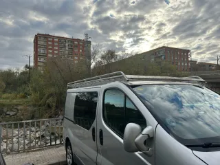 Techo de furgoneta plateada (vaca)