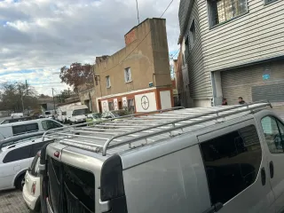 Techo de furgoneta plateada (vaca)