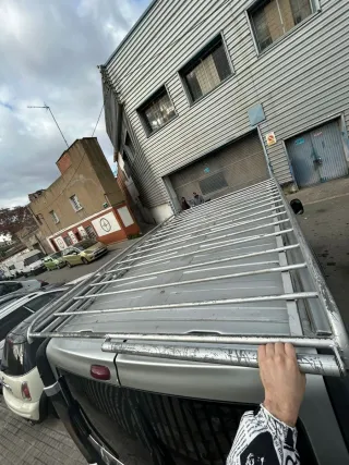 Techo de furgoneta plateada (vaca)