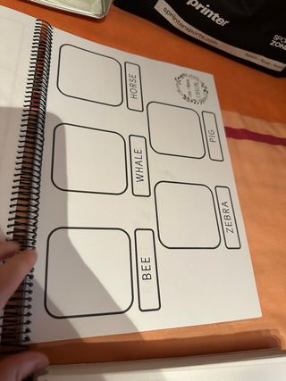 Apuntes Educación Infantil – Pack 6 dossiers