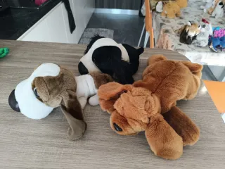 Set 3 peluches cani