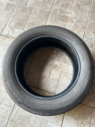Neumáticos 225/55 R19