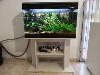 Acuario 100L con mesa y luces LED