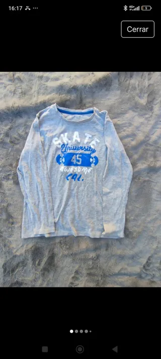 Camiseta manga larga Skate University