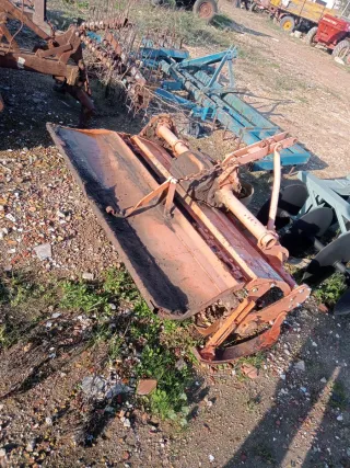 Rotobato Agria 1.30m