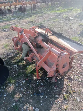 Rotobato Agria 1.30m