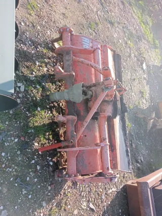 Rotobato Agria 1.30m