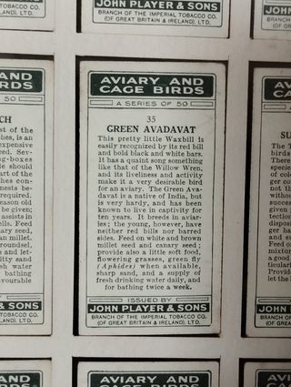 Quadro Pássaros - Colecção 50 Cartões Cigarros