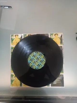 Vinilo Throwing Muses The Real Ramona