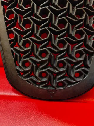 Paraschiena Dainese pro shape G2