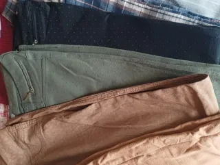 Lote de pantalones marrones y grises