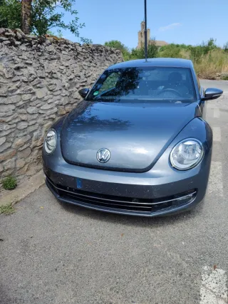 Volkswagen Beetle 2014