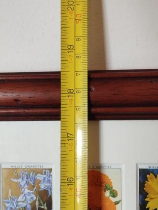 Quadro Flores - Colecção 50 Cartões Cigarros