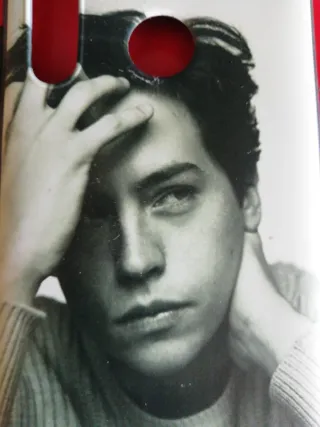 Custodia Huawei P Smart 2019/Honor 10 Lite C.Sprouse