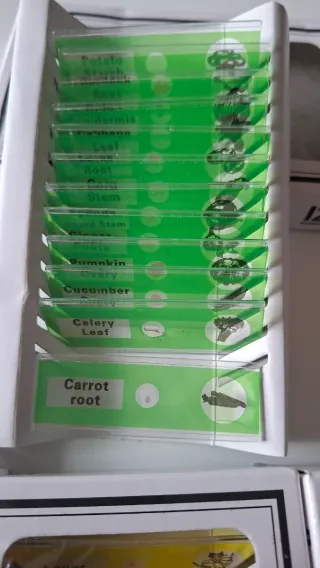 Portaobjetos microscopio (48 unidades)