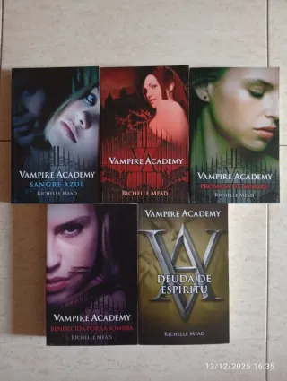 Vampire Academy (Vampire Academy 1)
